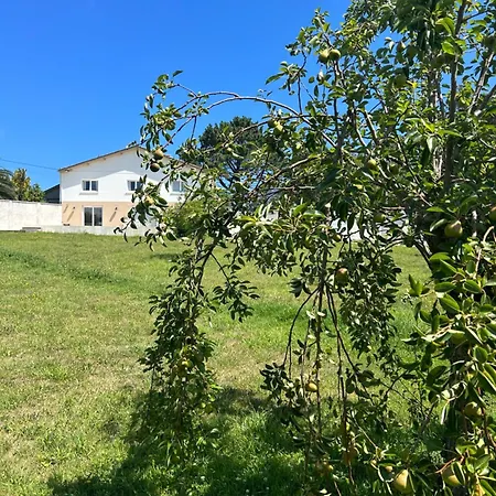 Apartagal-a Corredoira